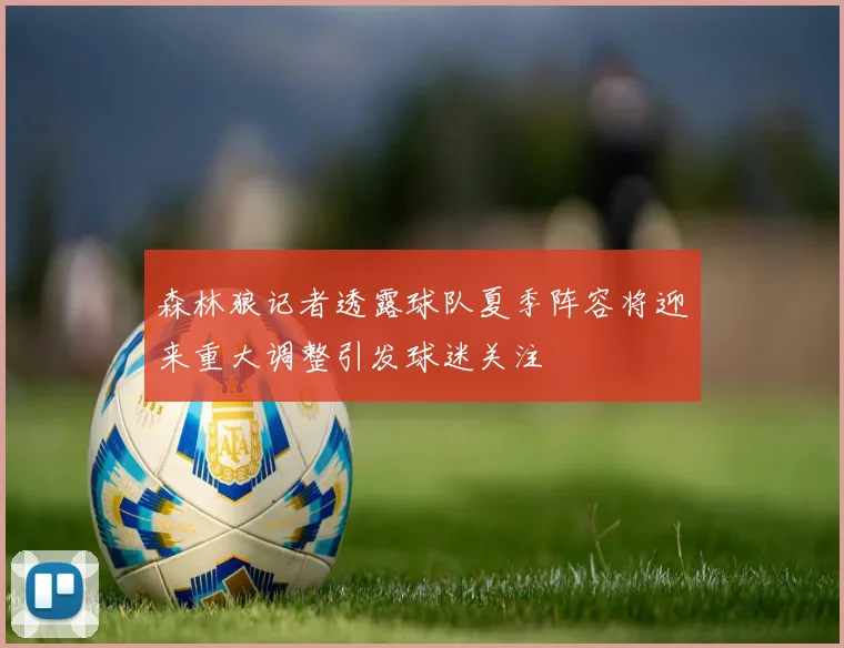 森林狼记者透露球队夏季阵容将迎来重大调整引发球迷关注